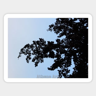 Blue Tree Silhouette Sticker